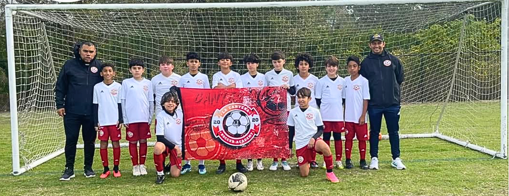 Impact visual from PDF